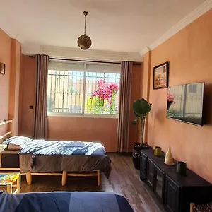 Appartement Maison Mamdy Rooftop, Marrakesh